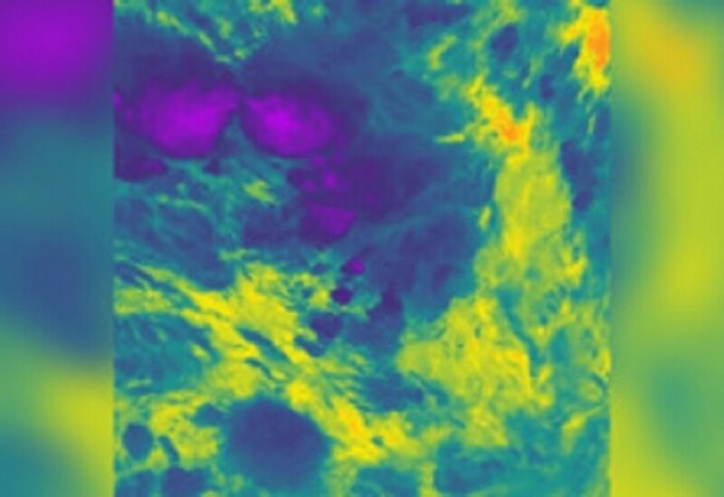 Storm image taken by the moon NOAA-20