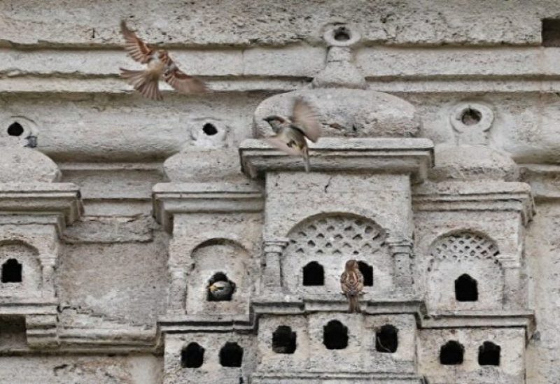 قصور الطيور في تركيا